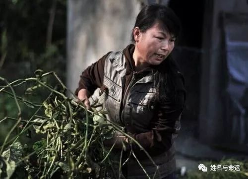 如何起一个有诗意、而且不俗气的名字？ 图片1