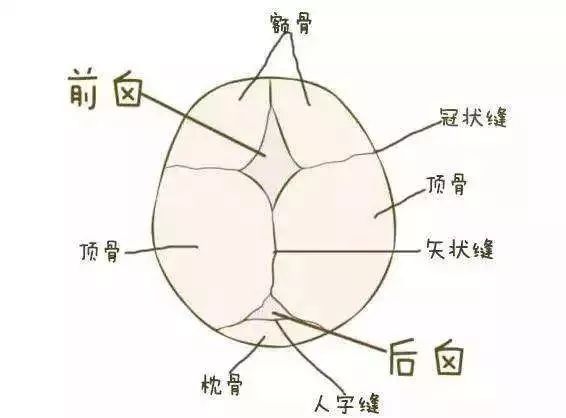 十头九扁，你的扁头真是福相代表吗？ 图片7