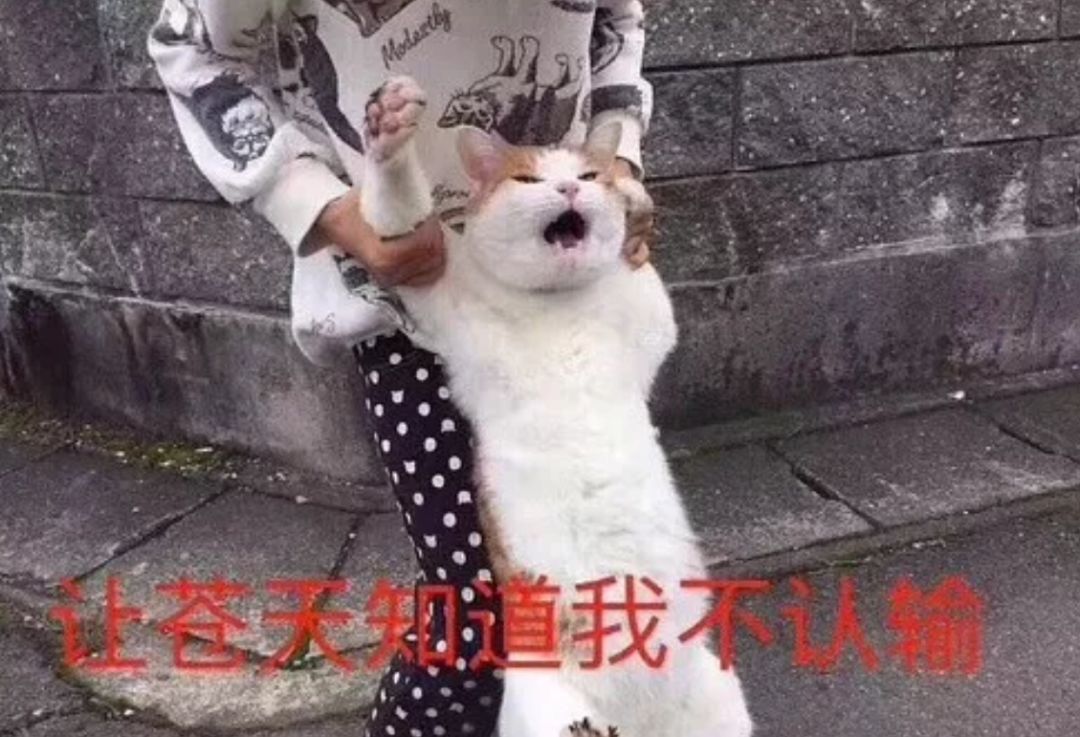 十头九扁，你的扁头真是福相代表吗？ 图片29