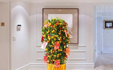 正月植物旺运，这几样植物既招财又旺人
