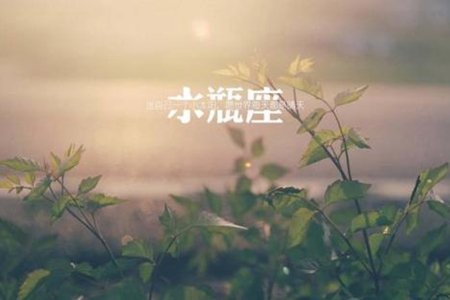 7月水瓶座能实现理想吗 2021年星座运势 图片5