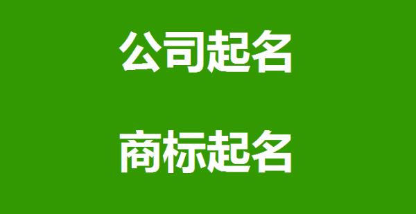 简单的公司名字大全，公司取名字参考大全 图片1