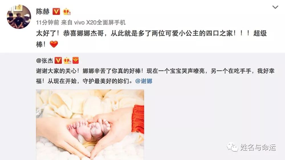 谢娜生了双胞胎女儿,张杰却被取名难住了 图片2 谢娜生了双胞胎女儿,张杰却被取名难住了 图片1