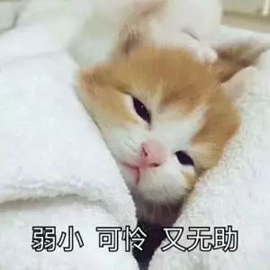那些比真名还有名的假名们，明星的真名与假名 图片23
