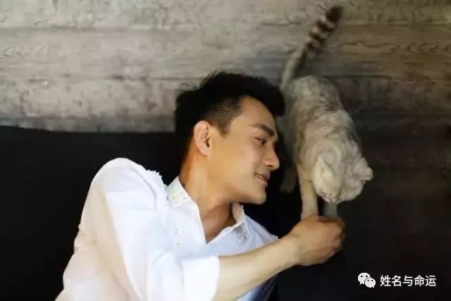 这四大生肖男,值得女人托付终身 图片8 这四大生肖男,值得女人托付终身 图片7