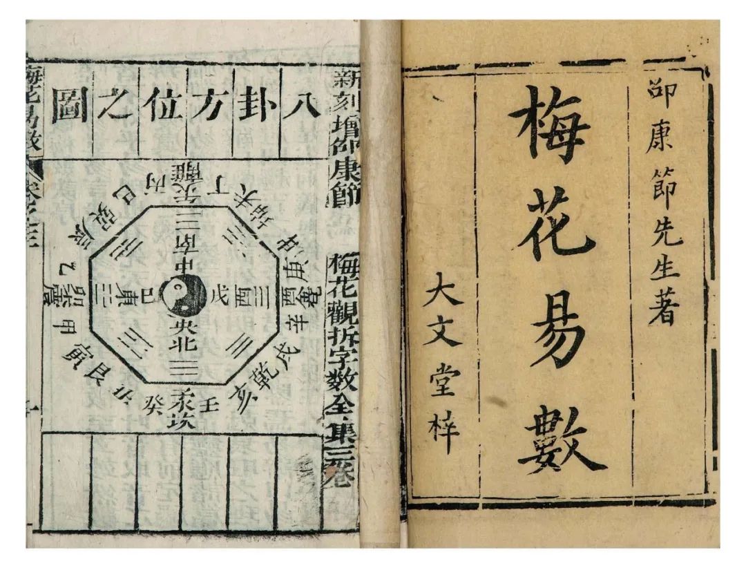 梅花易数的千古核心秘密 图片2 梅花易数的千古核心秘密 图片1