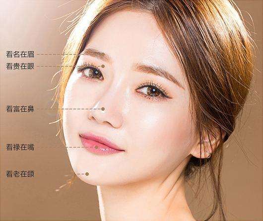 生肖属虎的人姻缘锦囊 图片6 生肖属虎的人姻缘锦囊 图片5