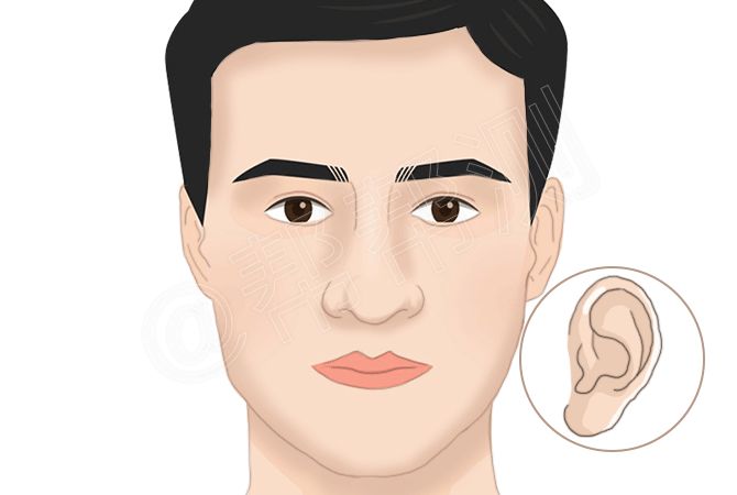 什么样的面相拥有最强财运？ 图片1