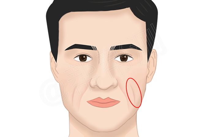什么样的面相拥有最强财运？ 图片11