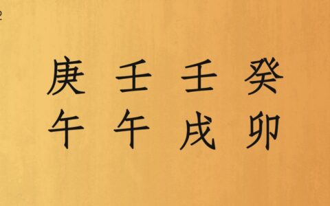地支六合实例解析，常鹤鸣手把手教你