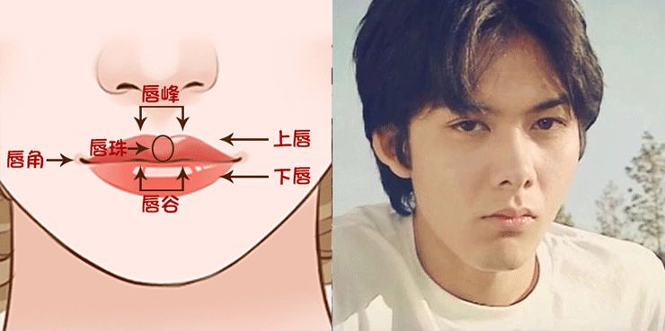 男靠鼻子，女靠嘴唇，你的唇部长的好吗？ 图片19