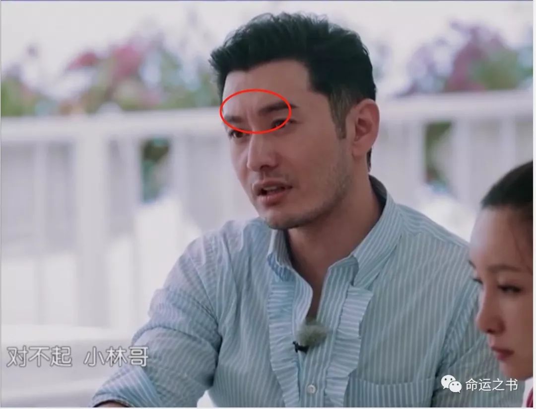 面相解读黄晓明和他老婆到底是什么样的人? 图片12 面相解读黄晓明和他老婆到底是什么样的人? 图片11