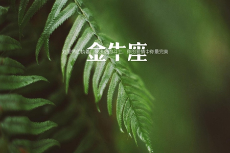 7月金牛座会生活惬意吗 2021年星座运势 图片3