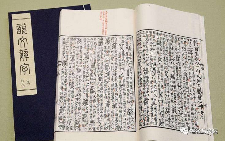 生僻字给4个女儿起名字结果貌美如花的女儿们都成了剩女 图片1