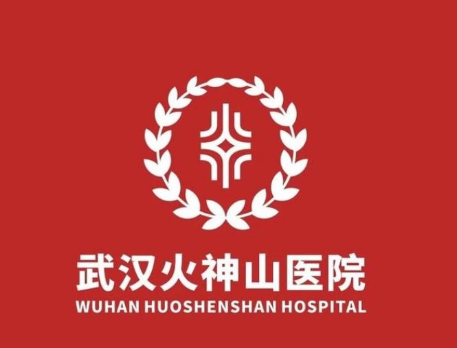 火神山和雷神山的LOGO解读易经与科学的关系 图片8 火神山和雷神山的LOGO解读易经与科学的关系 图片7