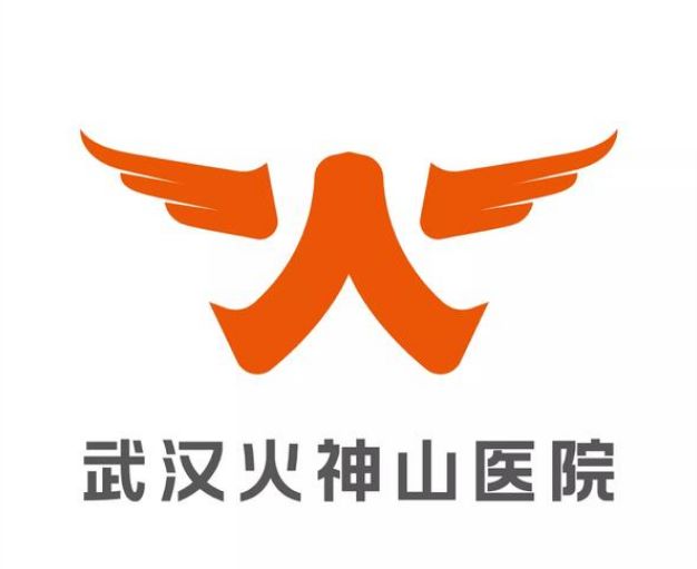 火神山和雷神山的LOGO解读易经与科学的关系 图片12 火神山和雷神山的LOGO解读易经与科学的关系 图片11