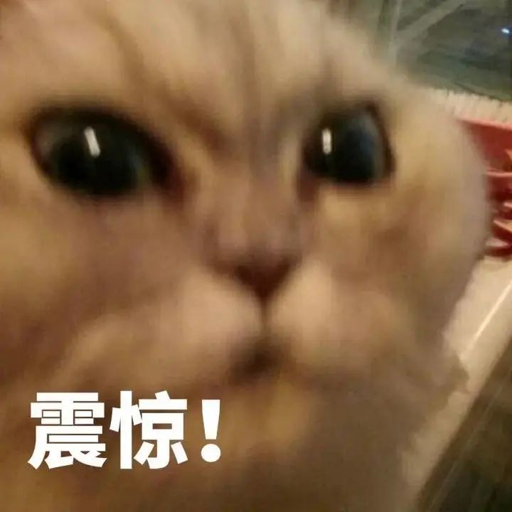 有没有特别的方法能防止得病、保障健康 图片5