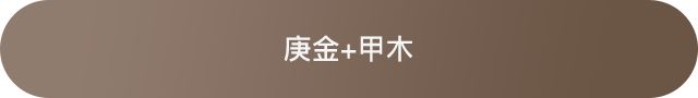 十天干配对篇之庚金 图片3