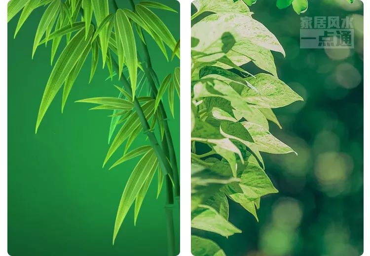 大吉大利，纳福旺运消灾的手机壁纸推荐 图片13