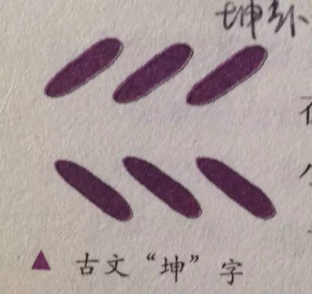 易经六十四卦 | 坤卦:元亨,利牝马之贞 图片2 易经六十四卦 | 坤卦:元亨,利牝马之贞 图片1