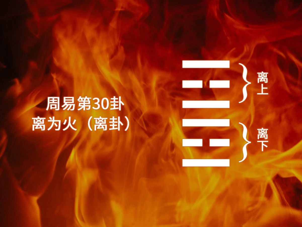 关于火神山雷神山，这场抗疫战里有“八卦” 图片19