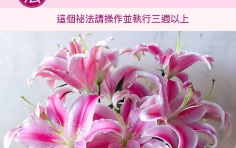 春分开运秘法、开运要趁早