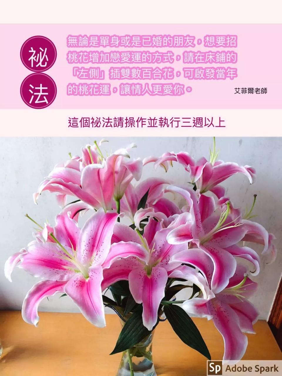 春分开运秘法、开运要趁早 图片17