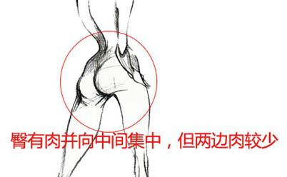 臀相分析你的性格和运程 图片9