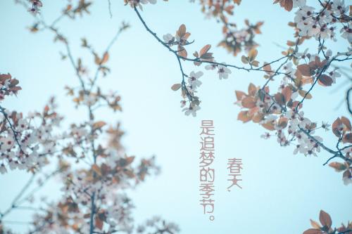 这三大星座最容易变心！ 图片1