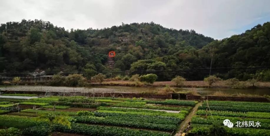 李嘉诚运势预测，2020年将会再遇风水劫 图片9