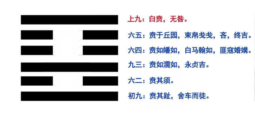 周易第三卦，李文亮、张文宏与钟南山 图片9