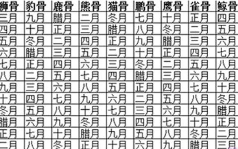 如何看一个人的骨相