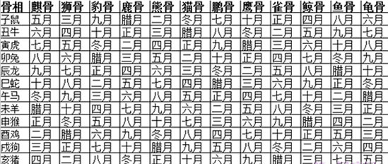 如何看一个人的骨相 图片4 如何看一个人的骨相 图片3