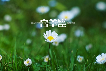 白羊座最适合恋爱的星座 什么样的星座配对最适合白羊座 图片3