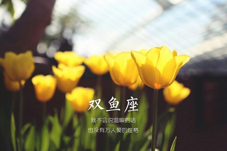 7月双鱼座能财运连连吗 2021年星座运势 图片2 7月双鱼座能财运连连吗 2021年星座运势 图片1