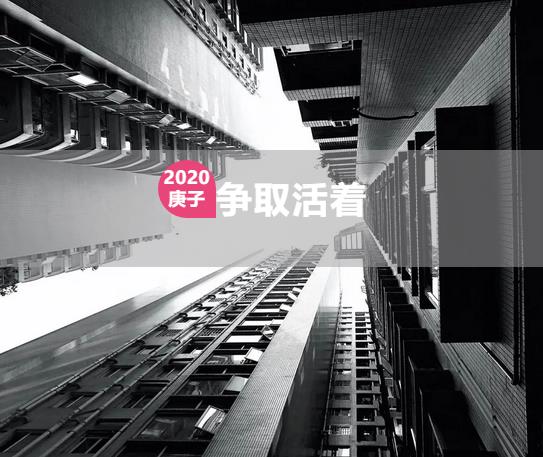 2020年庚子年,如何把握自己的人生 图片2 2020年庚子年,如何把握自己的人生 图片1