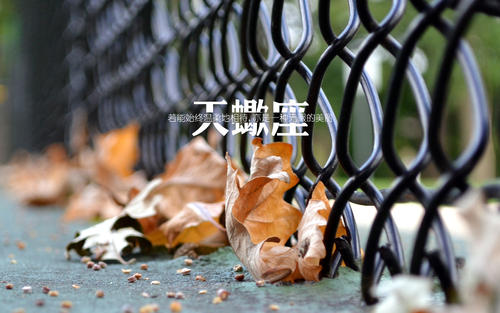 今日运势之8月16日，恋爱是可盐可甜的！ 图片1