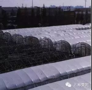 普陀中环外的这座百米高塔，到底有何风水玄机 图片11