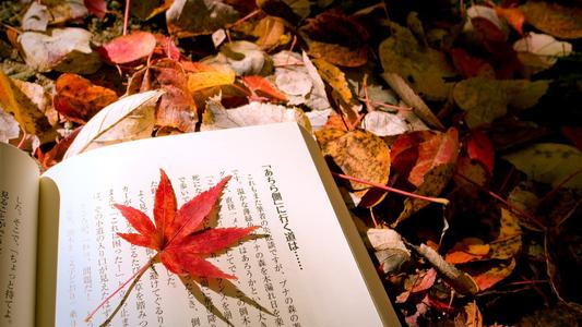 本周运势之8月17日至8月23日，依旧好运满满！ 图片1