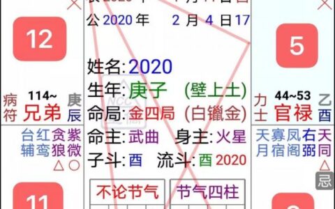 紫微斗数命盘分析，为你说清2020年的秘密
