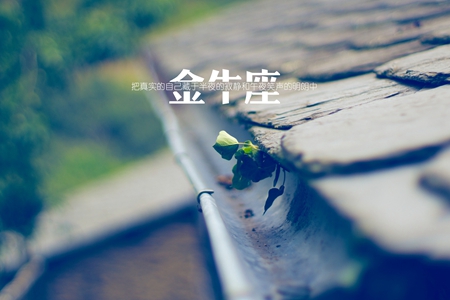 喜欢扮猪吃老虎的星座 这些星座性格让人难猜 图片5