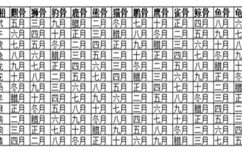 骨相观势，你的命运到底如何