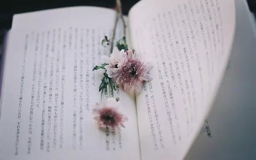 和狮子座恋爱有多可怕？ 图片1