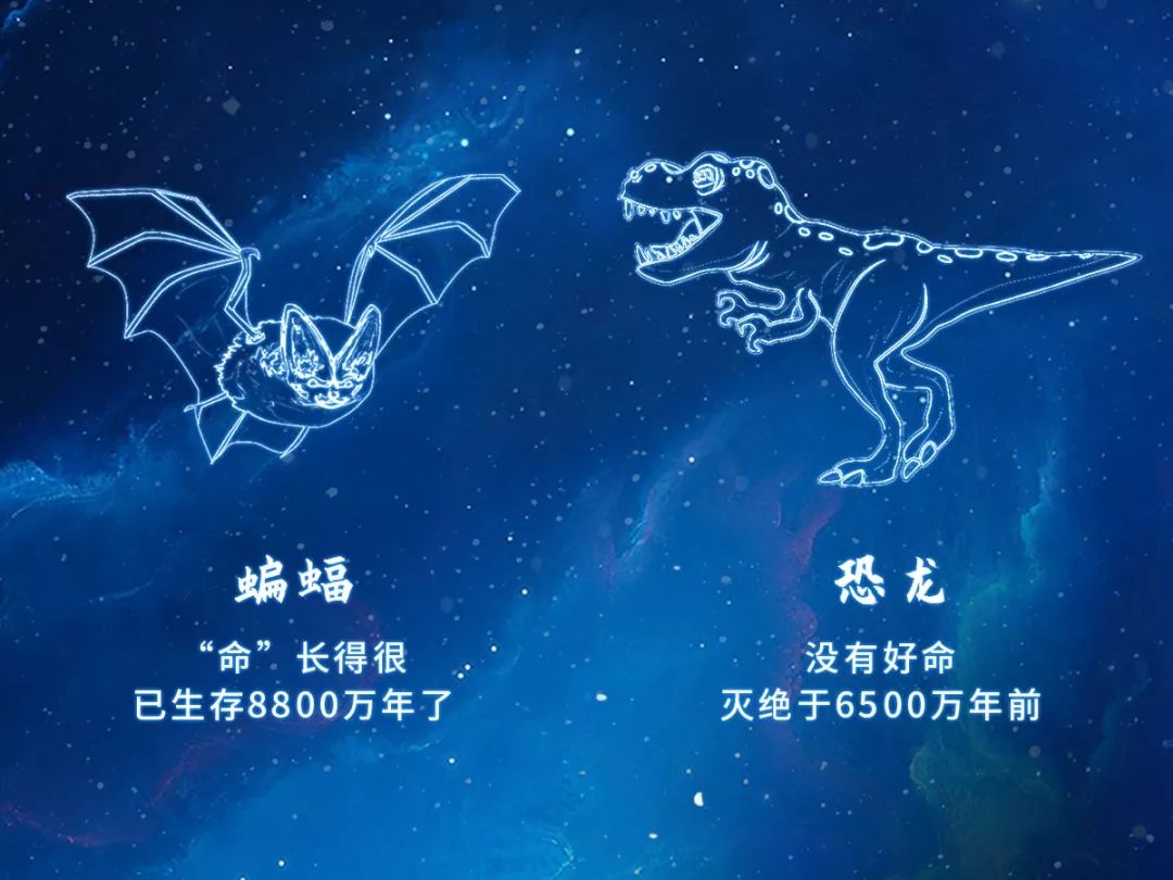 从代表“福”到代表“毒”,蝙蝠是如何成为疫情祸首的 图片14 从代表“福”到代表“毒”,蝙蝠是如何成为疫情祸首的 图片13