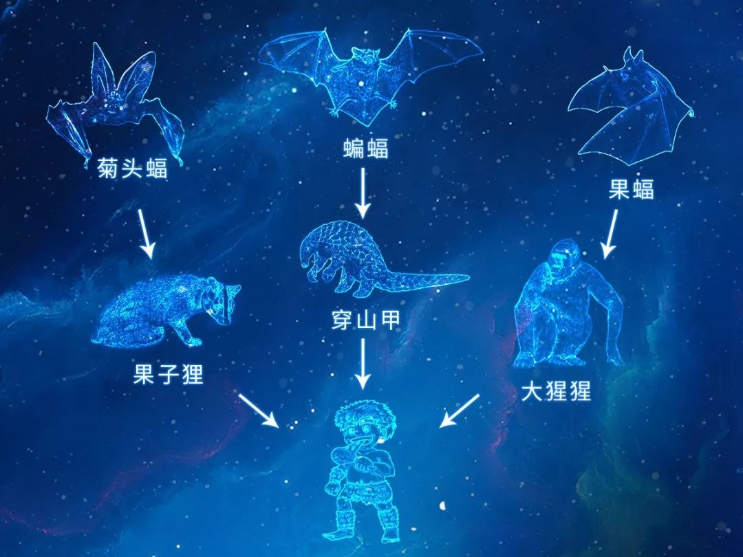从代表“福”到代表“毒”,蝙蝠是如何成为疫情祸首的 图片34 从代表“福”到代表“毒”,蝙蝠是如何成为疫情祸首的 图片33
