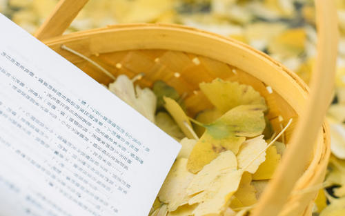 射手座的心口不一体现在哪里？ 图片1