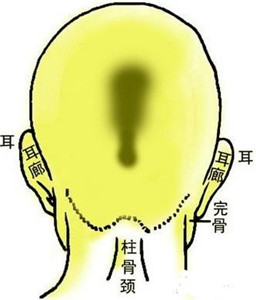骨相中几种贵人命格 图片1