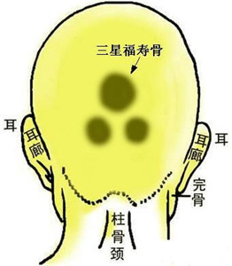 骨相中几种贵人命格 图片3