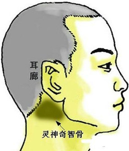 骨相中几种贵人命格 图片5