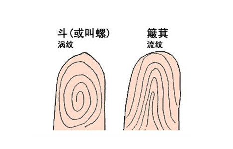 三种大富大贵的体相特征 图片1